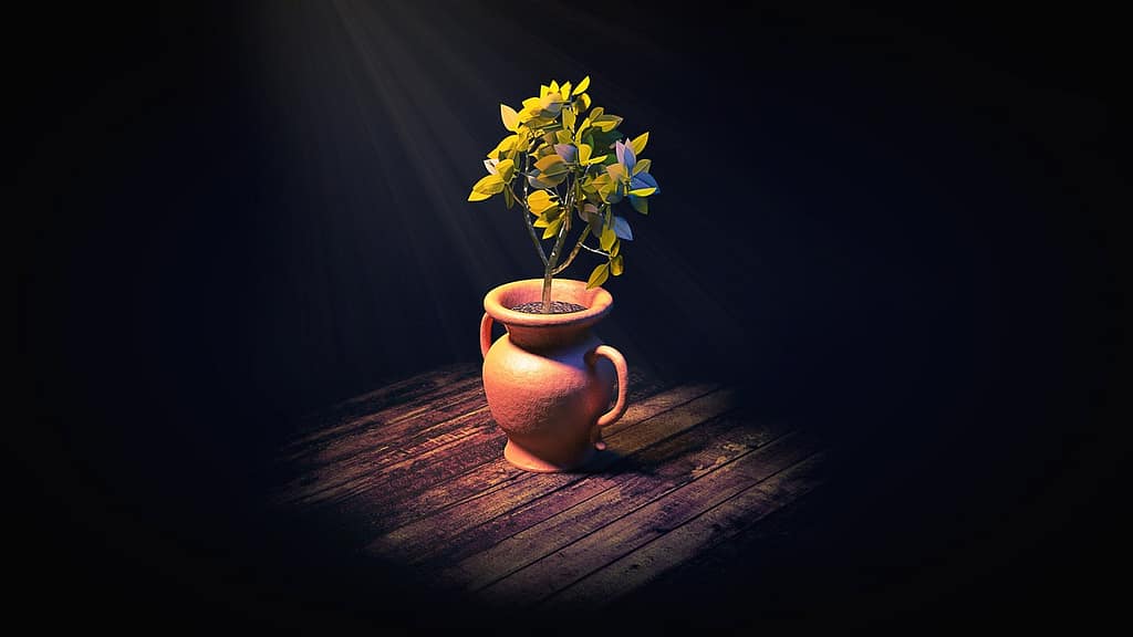 Clay Pot for Plants the Ultimate Guide Money tree plant